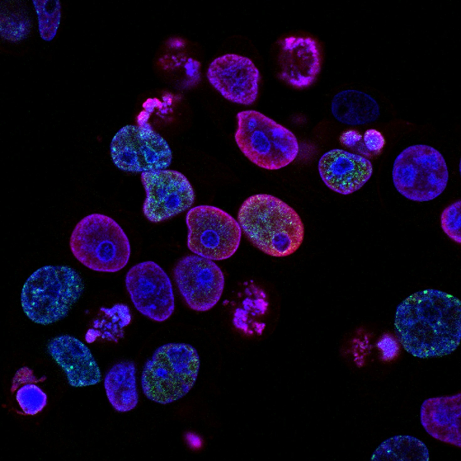 The Future of Genetic Healthcare in Africa